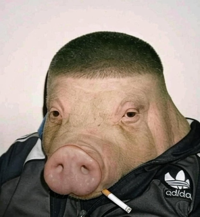 pig_007.jpeg