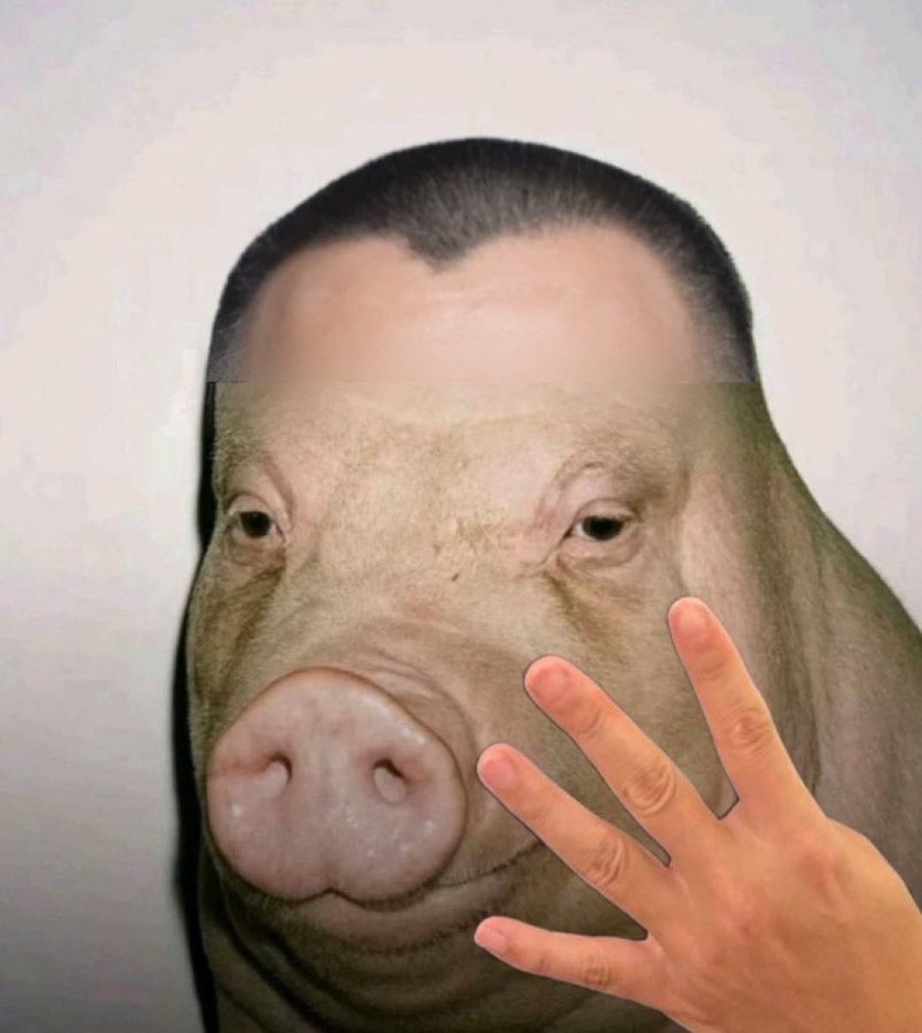 pig_008.jpeg