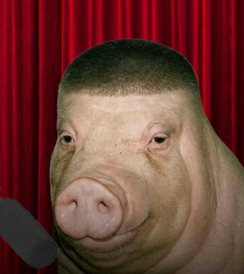pig_013.jpeg