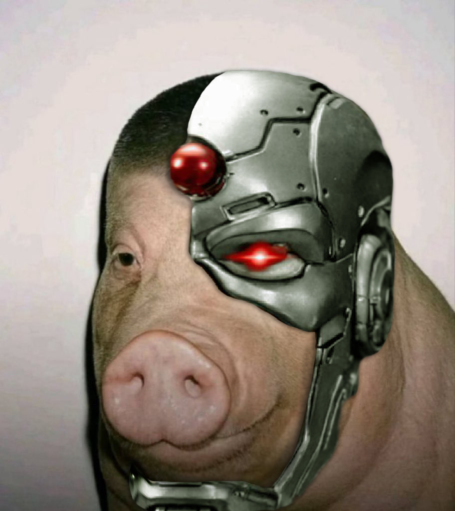 pig_027.jpeg